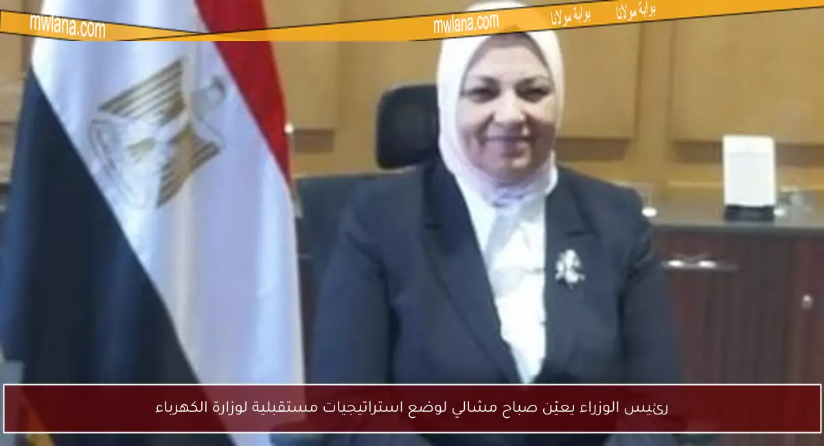 رئيس الوزراء يعيّن صباح مشالي لوضع استراتيجيات مستقبلية لوزارة الكهرباء