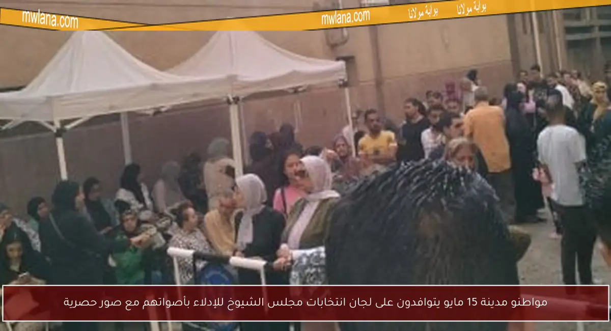 مواطنو مدينة 15 مايو يتوافدون على لجان انتخابات مجلس الشيوخ للإدلاء بأصواتهم مع صور حصرية
