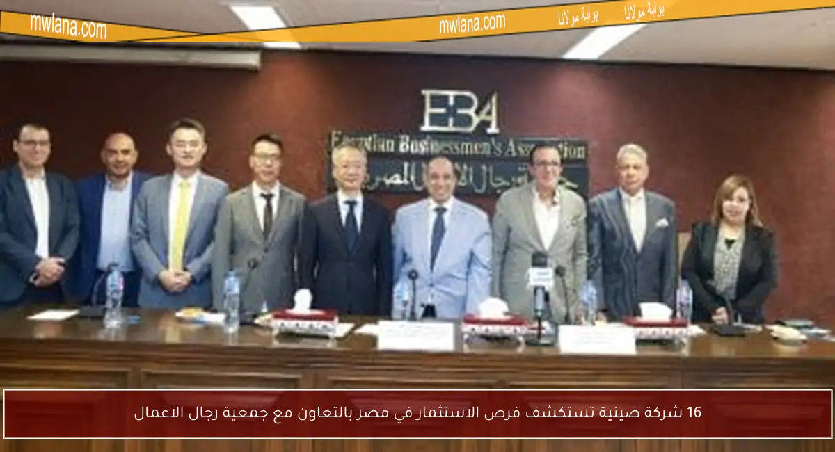 16 شركة صينية تستكشف فرص الاستثمار في مصر بالتعاون مع جمعية رجال الأعمال
