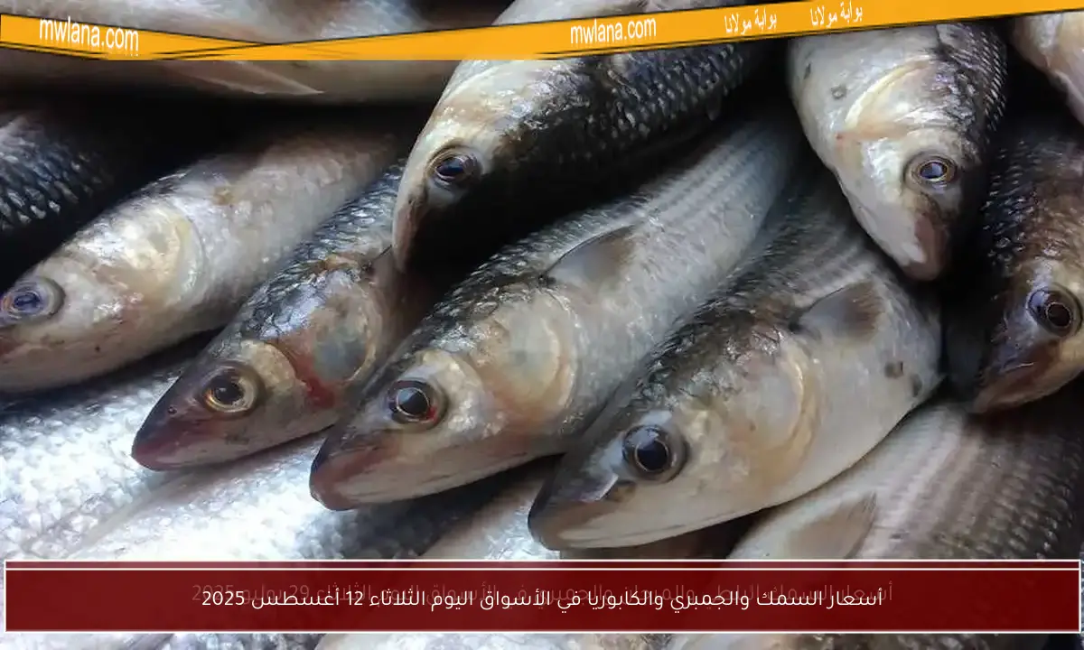 أسعار السمك والجمبري والكابوريا في الأسواق اليوم الثلاثاء 12 أغسطس 2025