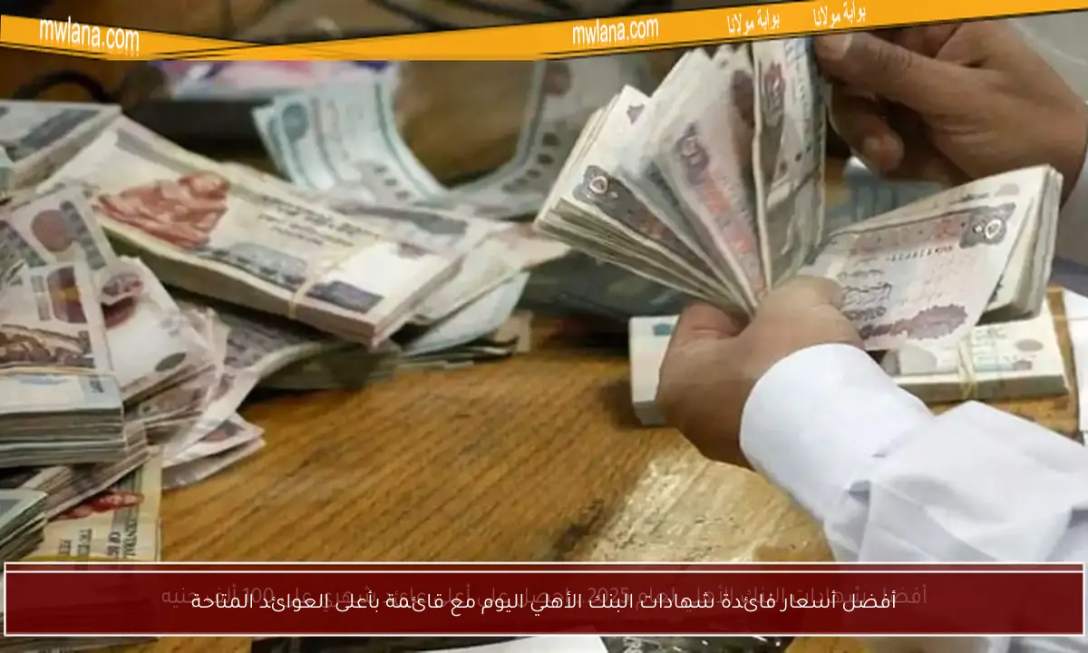 أفضل أسعار فائدة شهادات البنك الأهلي اليوم مع قائمة بأعلى العوائد المتاحة