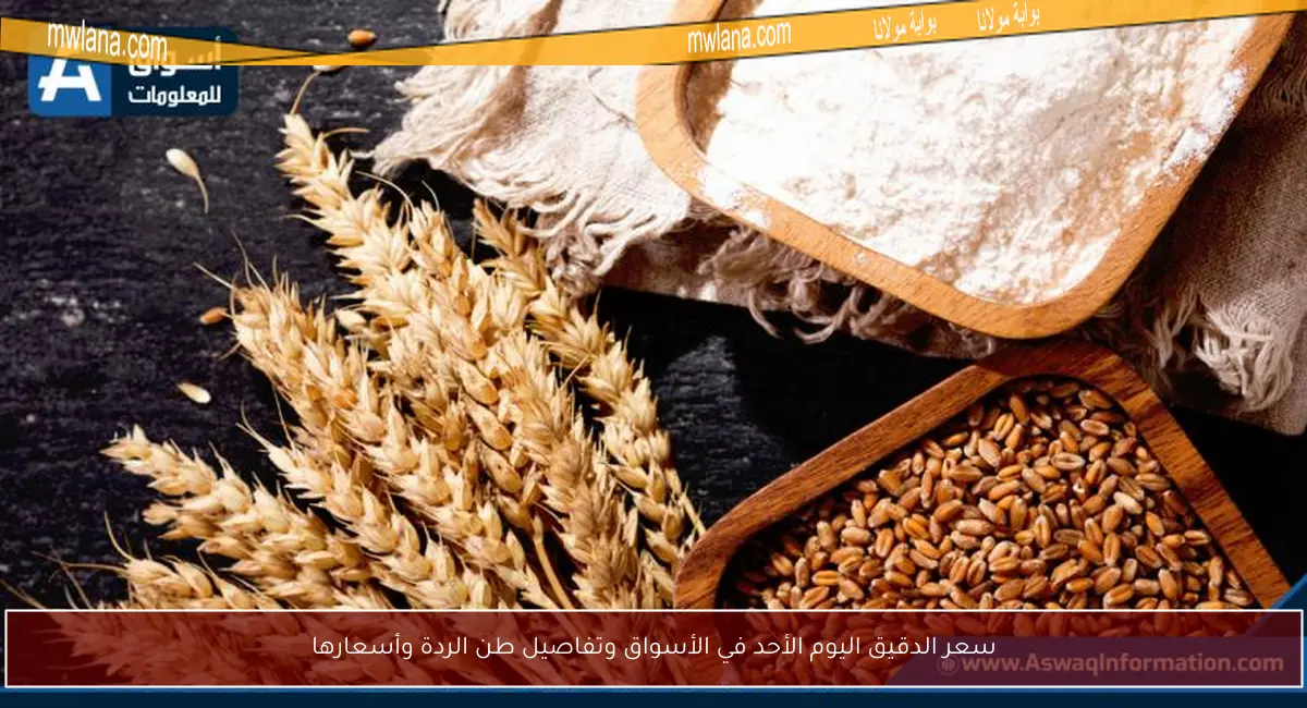 سعر الدقيق اليوم الأحد في الأسواق وتفاصيل طن الردة وأسعارها