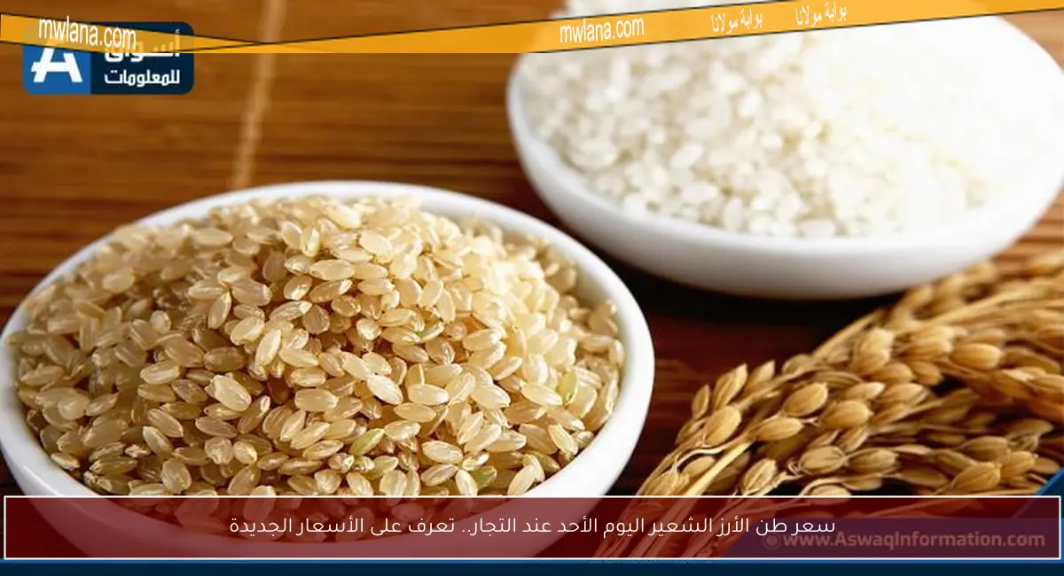 سعر طن الأرز الشعير اليوم الأحد عند التجار.. تعرف على الأسعار الجديدة