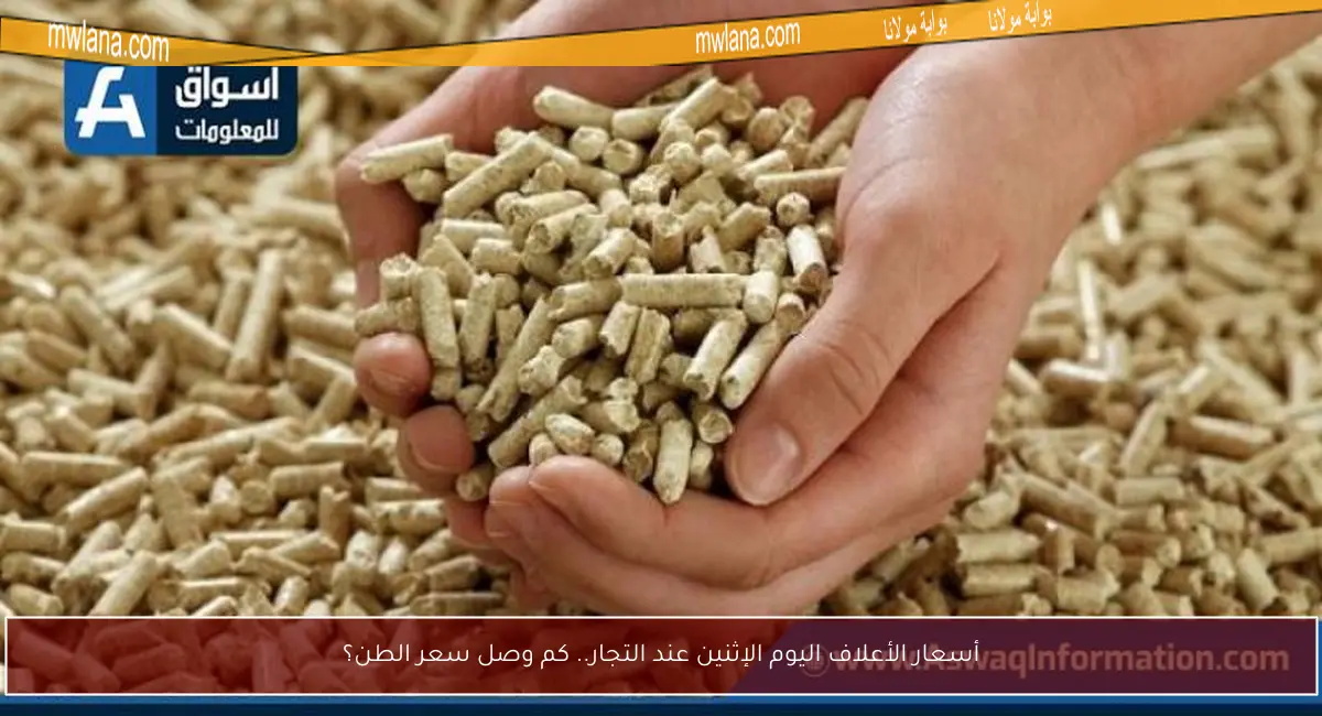 أسعار الأعلاف اليوم الإثنين عند التجار.. كم وصل سعر الطن؟