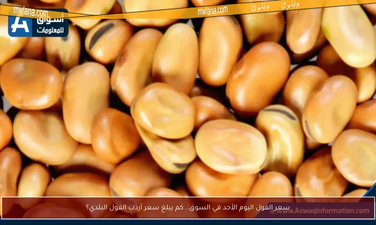 سعر الفول اليوم الأحد في السوق.. كم يبلغ سعر أردب الفول البلدي؟