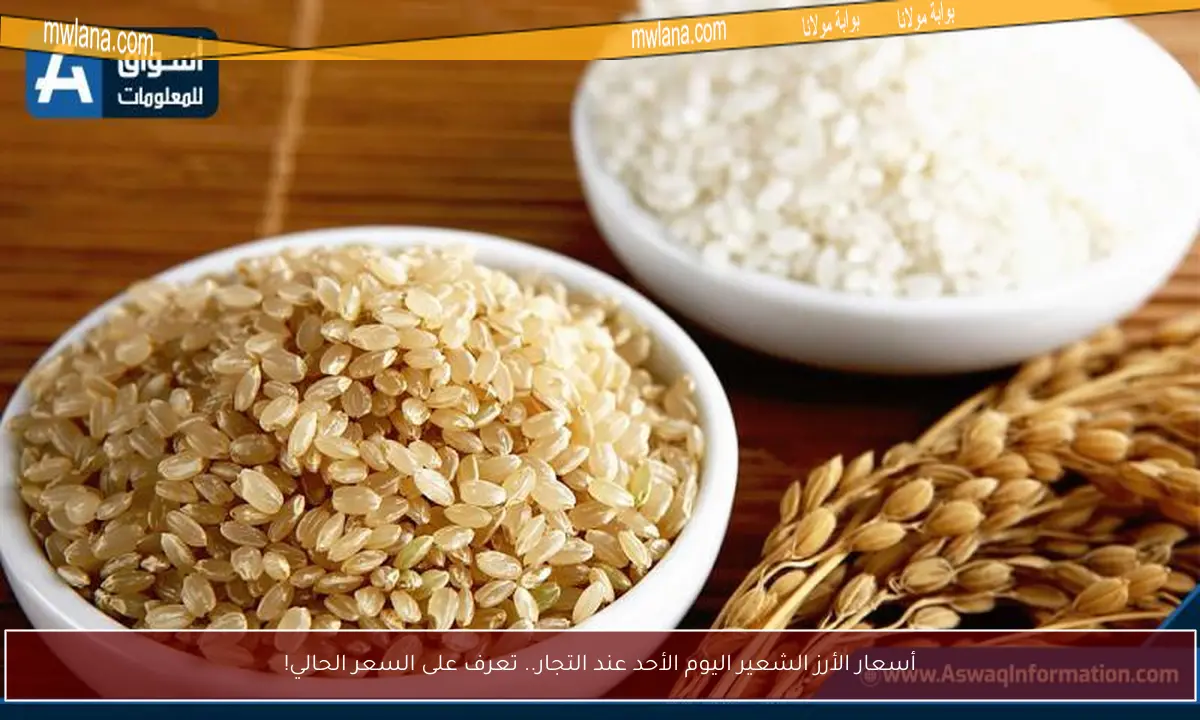 أسعار الأرز الشعير اليوم الأحد عند التجار.. تعرف على السعر الحالي!