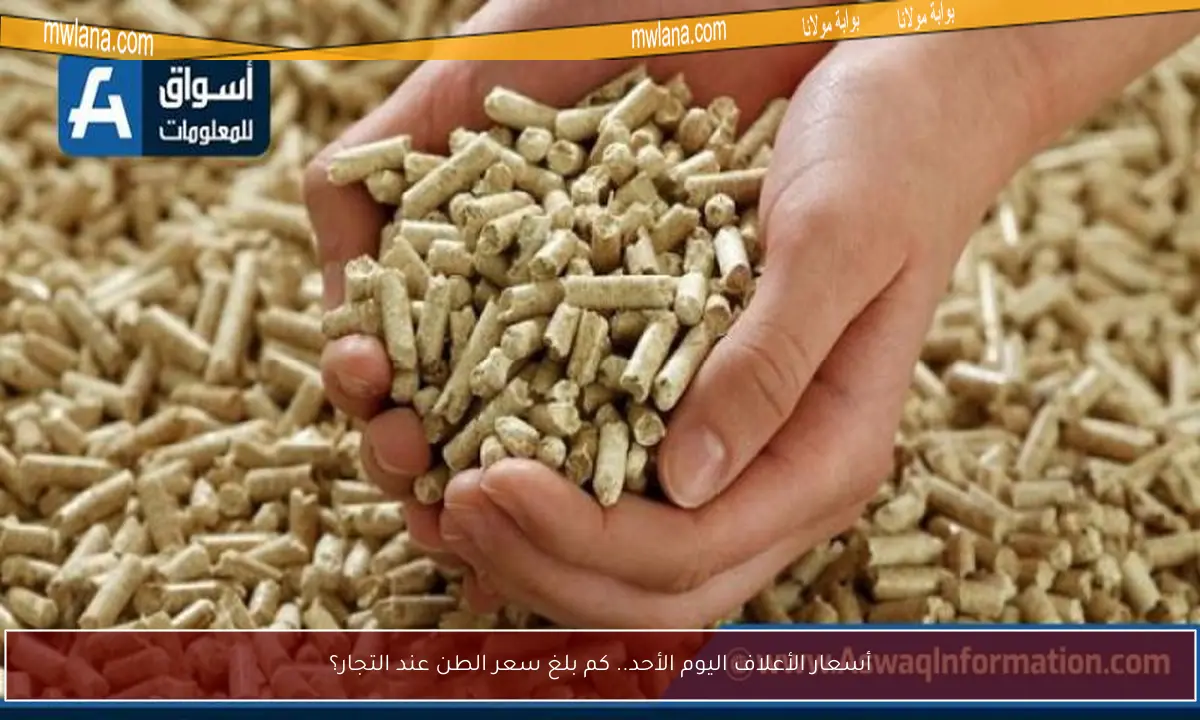 أسعار الأعلاف اليوم الأحد.. كم بلغ سعر الطن عند التجار؟