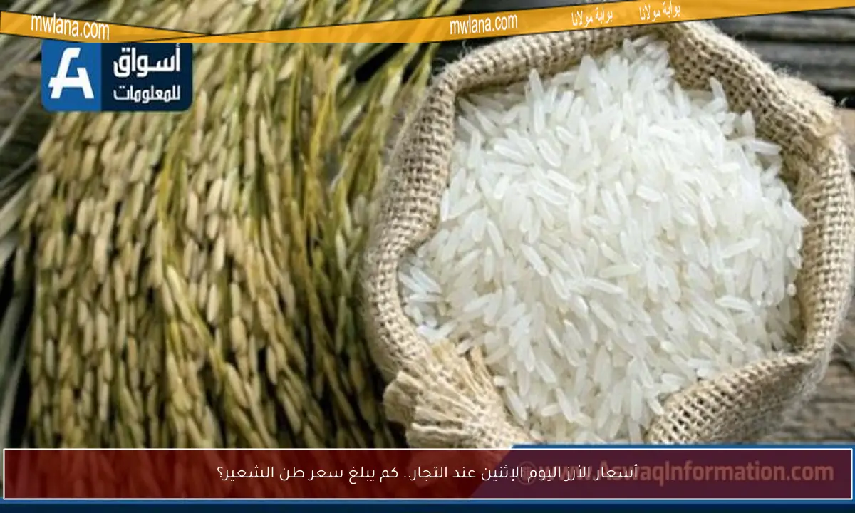 أسعار الأرز اليوم الإثنين عند التجار.. كم يبلغ سعر طن الشعير؟