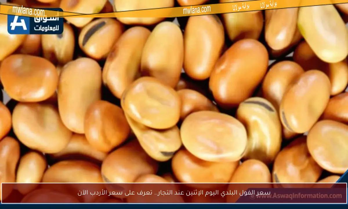 سعر الفول البلدي اليوم الإثنين عند التجار.. تعرف على سعر الأردب الآن