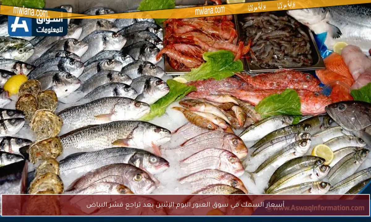 أسعار السمك في سوق العبور اليوم الإثنين بعد تراجع قشر البياض