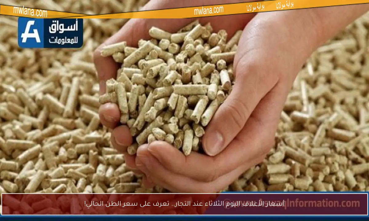 أسعار الأعلاف اليوم الثلاثاء عند التجار.. تعرف على سعر الطن الحالي!