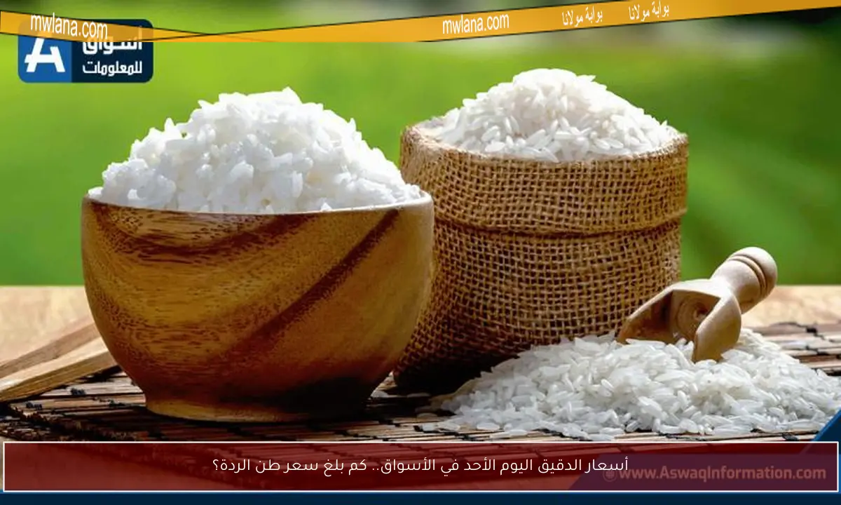 أسعار الدقيق اليوم الأحد في الأسواق.. كم بلغ سعر طن الردة؟