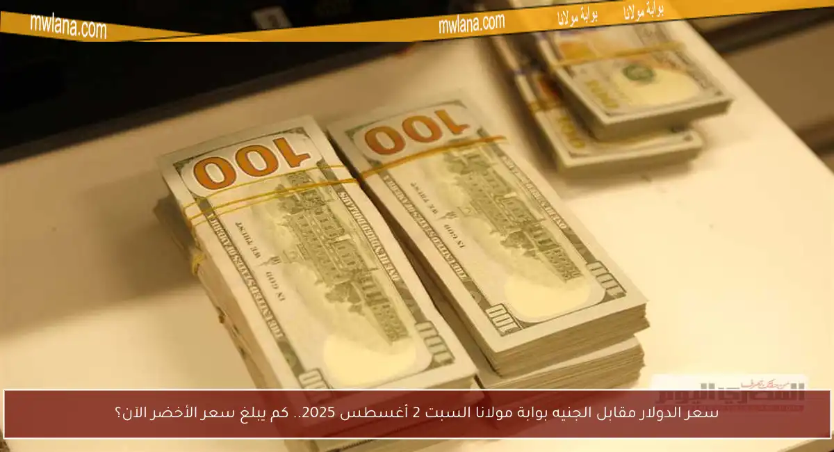 سعر الدولار مقابل الجنيه بوابة مولانا السبت 2 أغسطس 2025.. كم يبلغ سعر الأخضر الآن؟