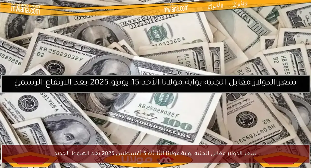 سعر الدولار مقابل الجنيه بوابة مولانا الثلاثاء 5 أغسطس 2025 بعد الهبوط الجديد