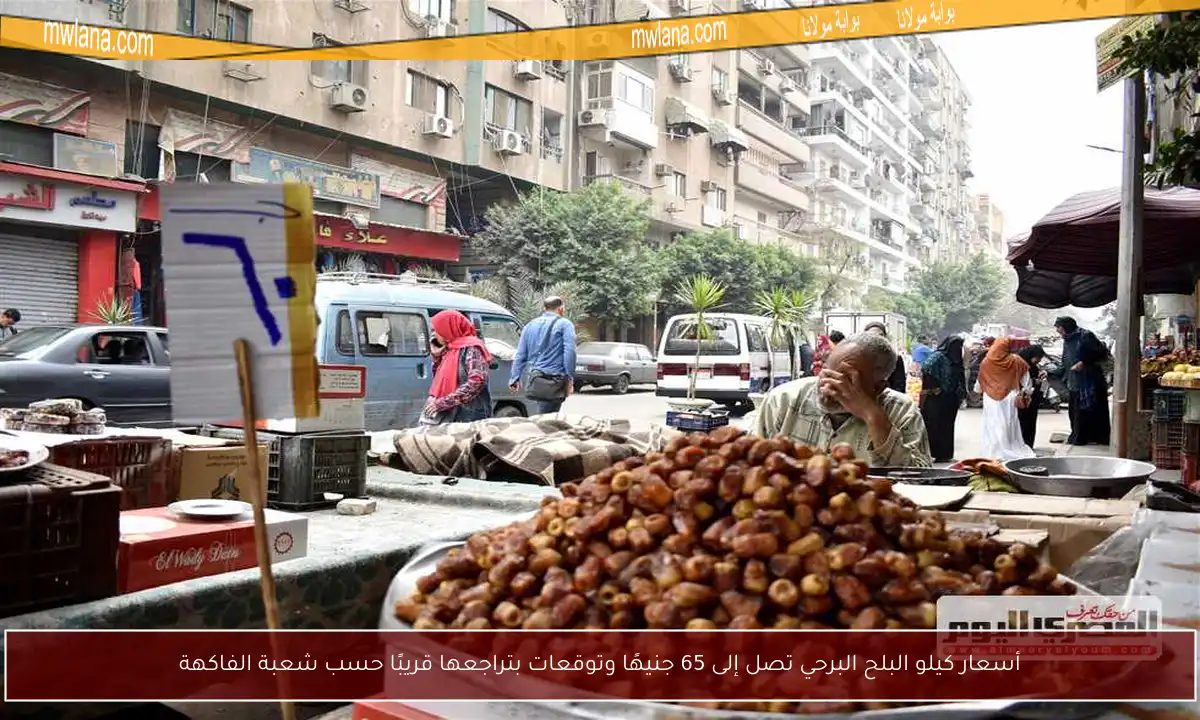 أسعار كيلو البلح البرحي تصل إلى 65 جنيهًا وتوقعات بتراجعها قريبًا حسب شعبة الفاكهة