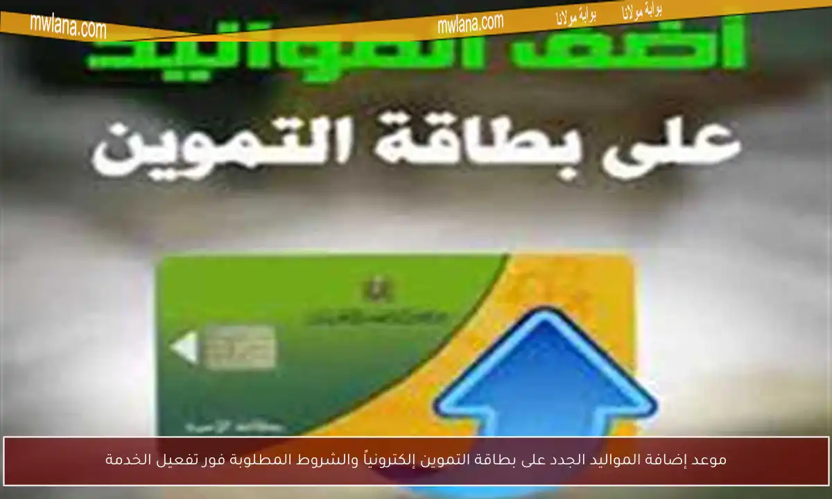 موعد إضافة المواليد الجدد على بطاقة التموين إلكترونياً والشروط المطلوبة فور تفعيل الخدمة