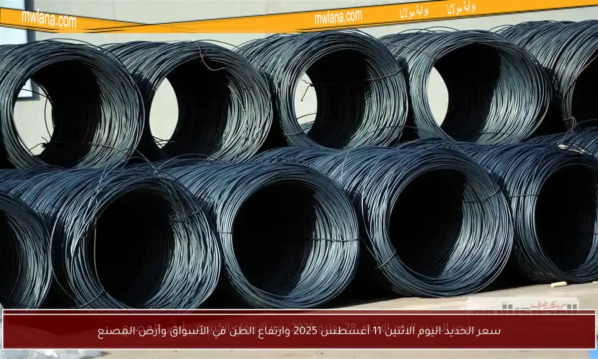 سعر الحديد اليوم الاثنين 11 أغسطس 2025 وارتفاع الطن في الأسواق وأرض المصنع