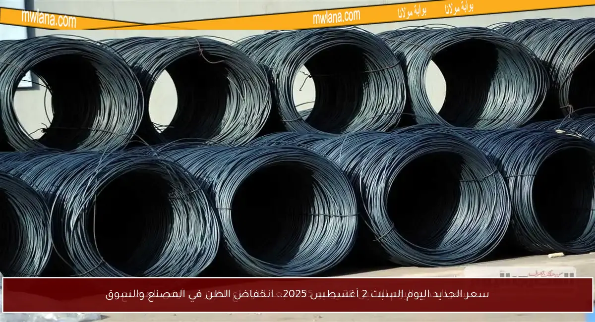 سعر الحديد اليوم السبت 2 أغسطس 2025.. انخفاض الطن في المصنع والسوق