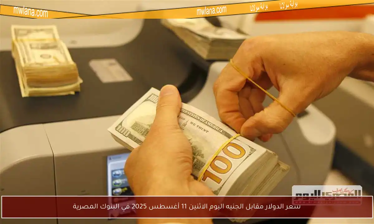 سعر الدولار مقابل الجنيه اليوم الاثنين 11 أغسطس 2025 في البنوك المصرية