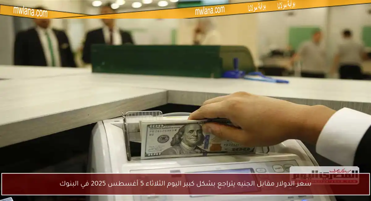 سعر الدولار مقابل الجنيه يتراجع بشكل كبير اليوم الثلاثاء 5 أغسطس 2025 في البنوك