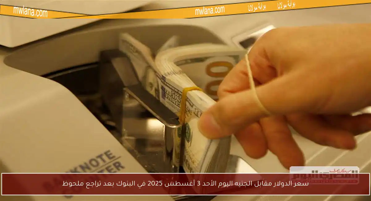 سعر الدولار مقابل الجنيه اليوم الأحد 3 أغسطس 2025 في البنوك بعد تراجع ملحوظ
