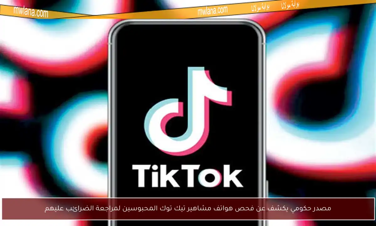 مصدر حكومي يكشف عن فحص هواتف مشاهير تيك توك المحبوسين لمراجعة الضرائب عليهم