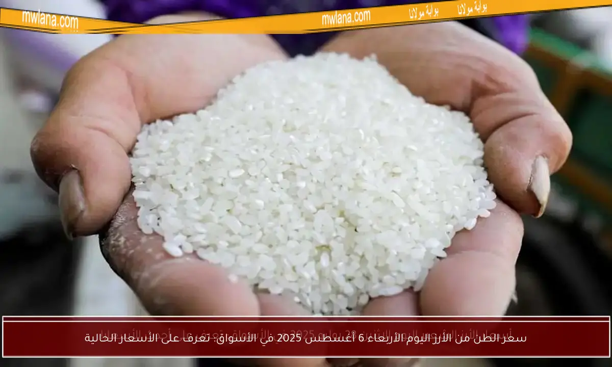 سعر الطن من الأرز اليوم الأربعاء 6 أغسطس 2025 في الأسواق: تعرف على الأسعار الحالية