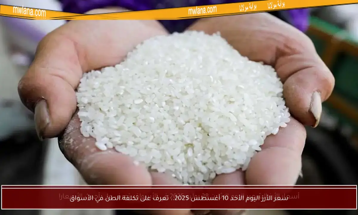 سعر الأرز اليوم الأحد 10 أغسطس 2025.. تعرف على تكلفة الطن في الأسواق