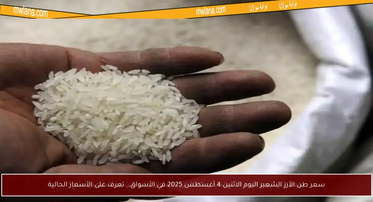 سعر طن الأرز الشعير اليوم الاثنين 4 أغسطس 2025 في الأسواق.. تعرف على الأسعار الحالية