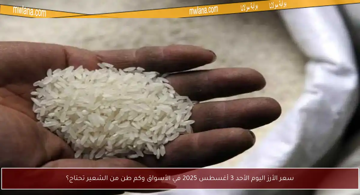 سعر الأرز اليوم الأحد 3 أغسطس 2025 في الأسواق وكم طن من الشعير تحتاج؟