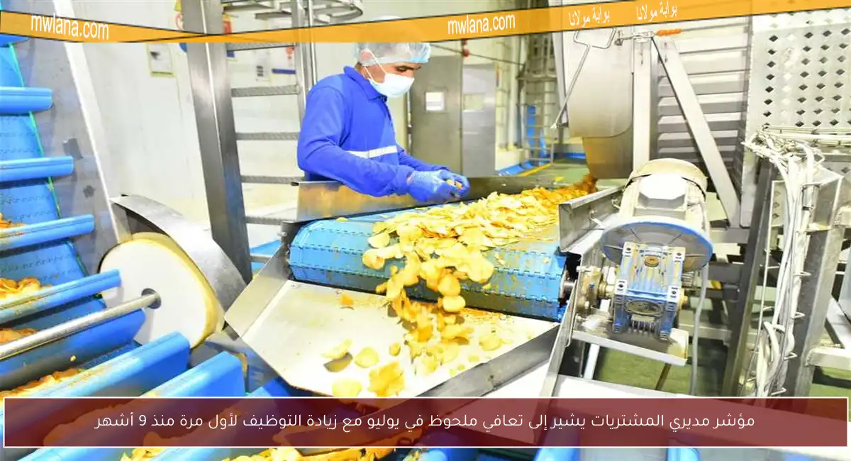 مؤشر مديري المشتريات يشير إلى تعافي ملحوظ في يوليو مع زيادة التوظيف لأول مرة منذ 9 أشهر