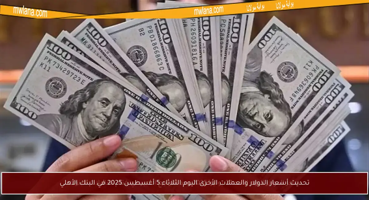 تحديث أسعار الدولار والعملات الأخرى اليوم الثلاثاء 5 أغسطس 2025 في البنك الأهلي