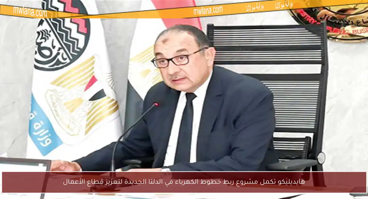 هايديليكو تكمل مشروع ربط خطوط الكهرباء في الدلتا الجديدة لتعزيز قطاع الأعمال