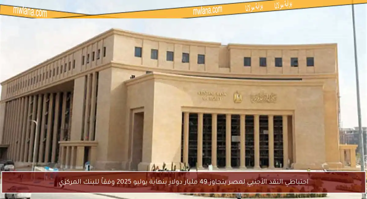احتياطي النقد الأجنبي لمصر يتجاوز 49 مليار دولار بنهاية يوليو 2025 وفقاً للبنك المركزي
