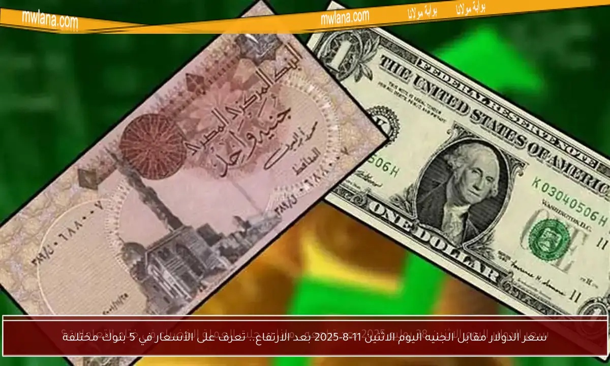 سعر الدولار مقابل الجنيه اليوم الاثنين 11-8-2025 بعد الارتفاع.. تعرف على الأسعار في 5 بنوك مختلفة