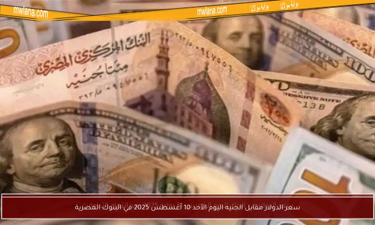 سعر الدولار مقابل الجنيه اليوم الأحد 10 أغسطس 2025 في البنوك المصرية