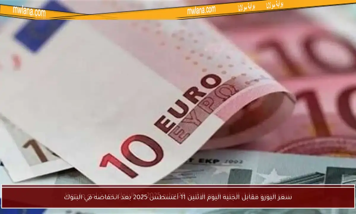 سعر اليورو مقابل الجنيه اليوم الاثنين 11 أغسطس 2025 بعد انخفاضه في البنوك