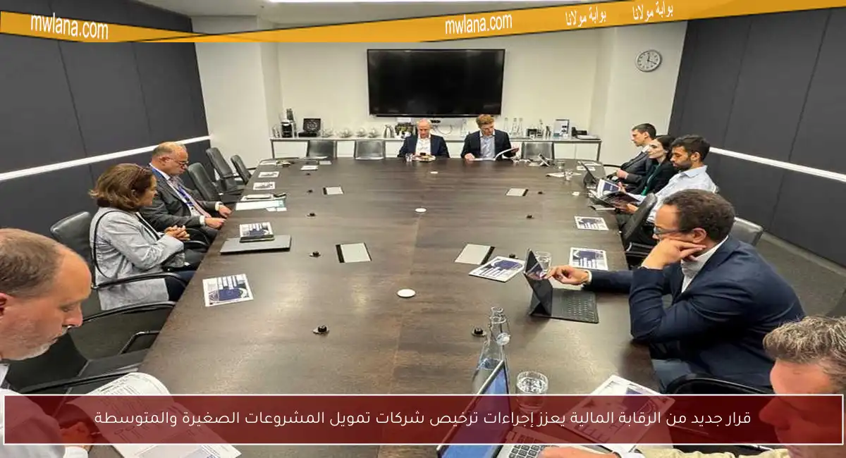 قرار جديد من الرقابة المالية يعزز إجراءات ترخيص شركات تمويل المشروعات الصغيرة والمتوسطة
