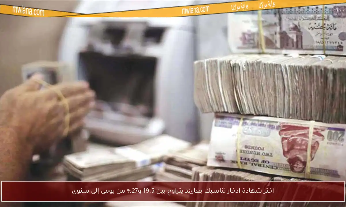 اختر شهادة ادخار تناسبك بعائد يتراوح بين 19.5 و27% من يومي إلى سنوي
