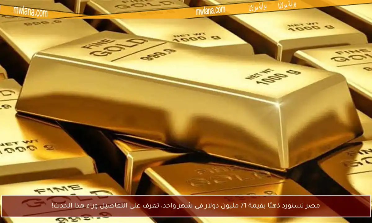 مصر تستورد ذهبًا بقيمة 71 مليون دولار في شهر واحد، تعرف على التفاصيل وراء هذا الحدث!