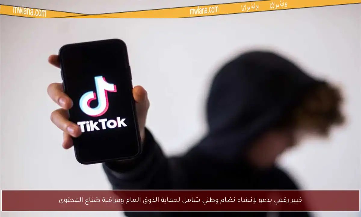 خبير رقمي يدعو لإنشاء نظام وطني شامل لحماية الذوق العام ومراقبة صُناع المحتوى
