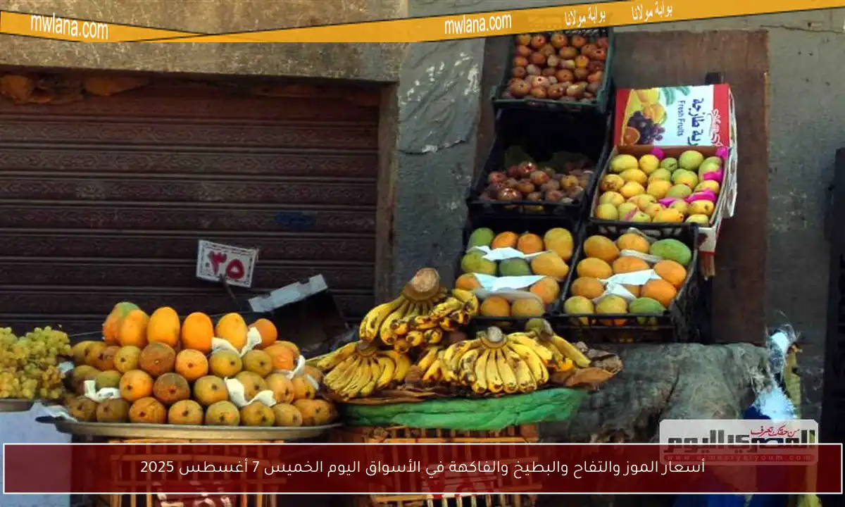 أسعار الموز والتفاح والبطيخ والفاكهة في الأسواق اليوم الخميس 7 أغسطس 2025