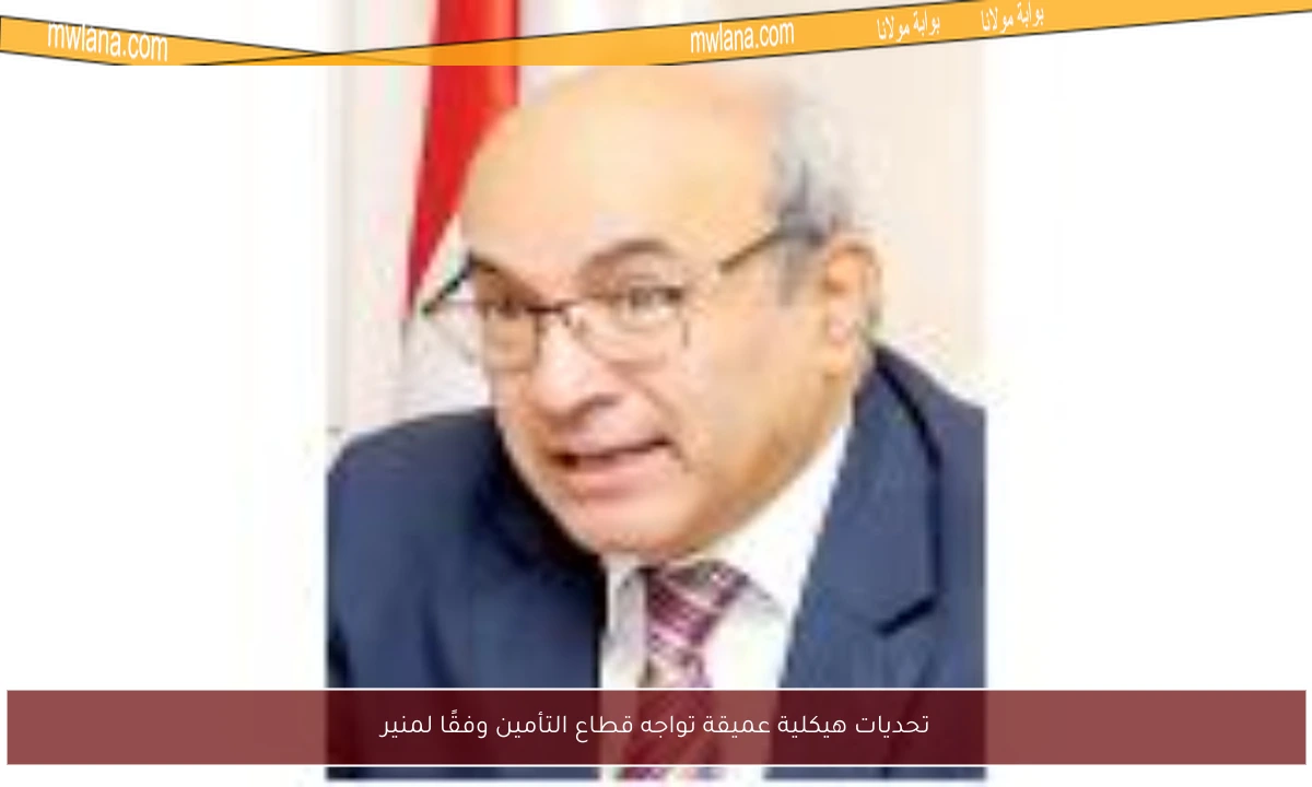 تحديات هيكلية عميقة تواجه قطاع التأمين وفقًا لمنير