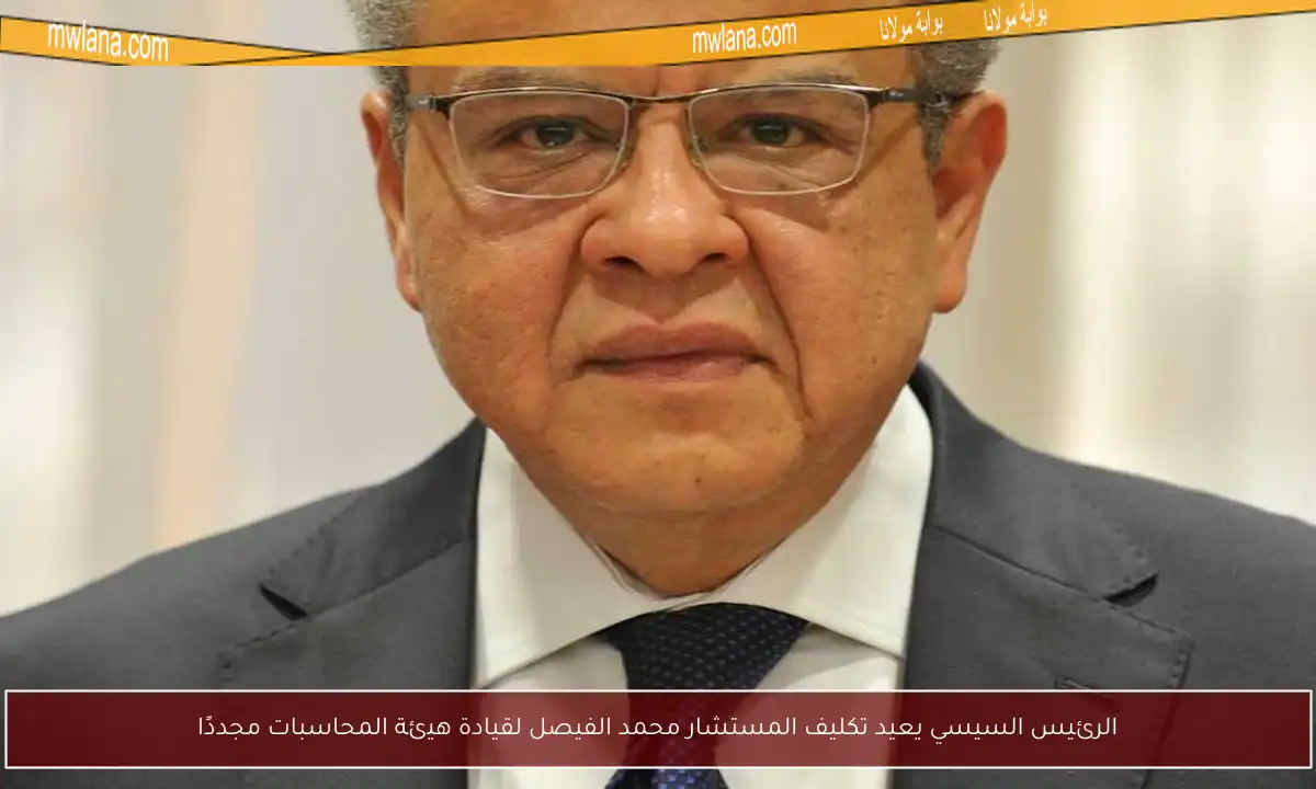 الرئيس السيسي يعيد تكليف المستشار محمد الفيصل لقيادة هيئة المحاسبات مجددًا