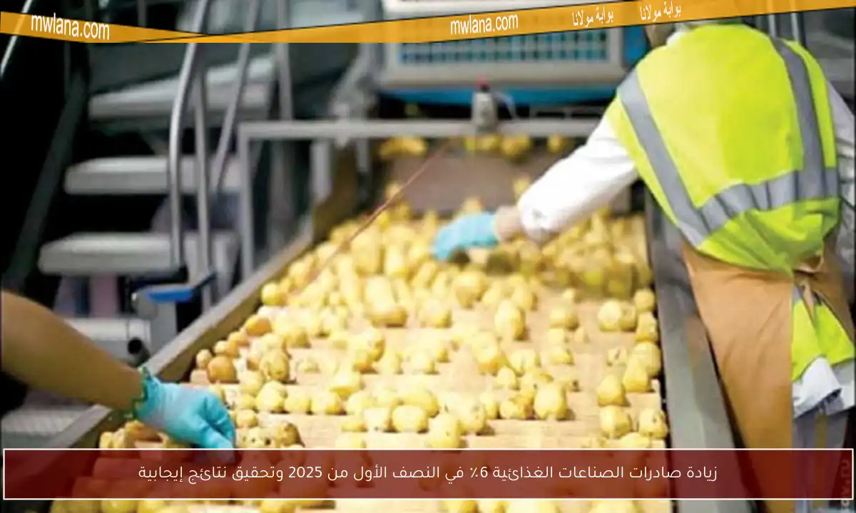 زيادة صادرات الصناعات الغذائية 6٪ في النصف الأول من 2025 وتحقيق نتائج إيجابية