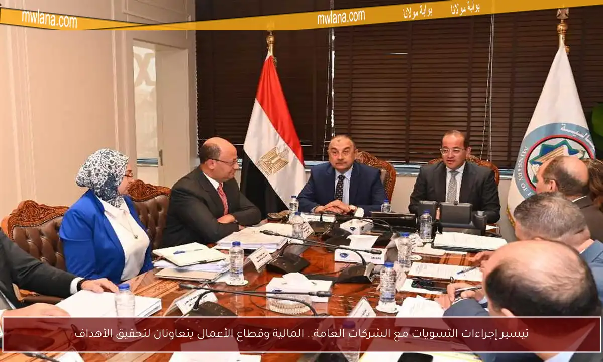 تيسير إجراءات التسويات مع الشركات العامة.. المالية وقطاع الأعمال يتعاونان لتحقيق الأهداف