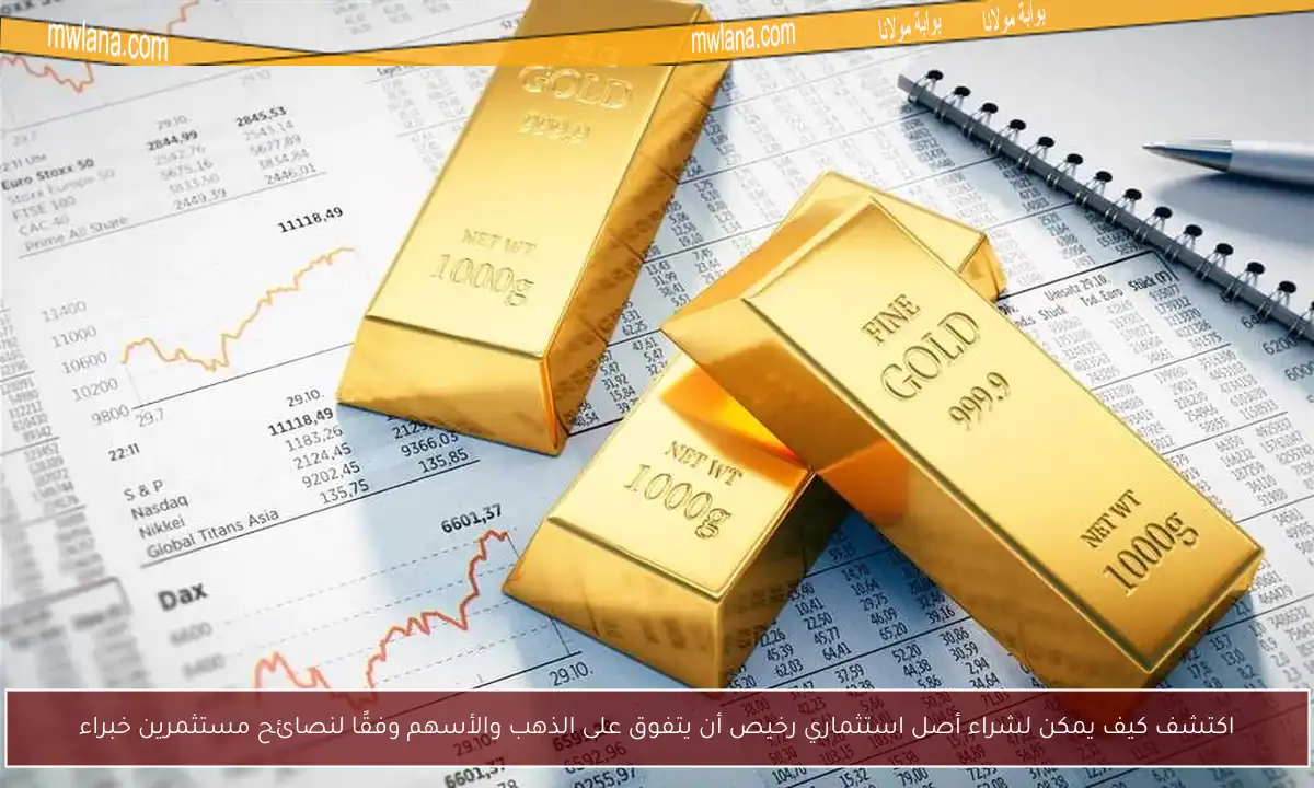 اكتشف كيف يمكن لشراء أصل استثماري رخيص أن يتفوق على الذهب والأسهم وفقًا لنصائح مستثمرين خبراء