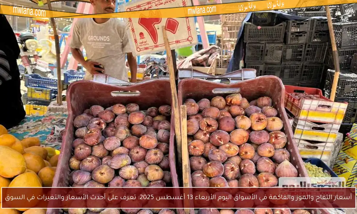 أسعار التفاح والموز والفاكهة في الأسواق اليوم الأربعاء 13 أغسطس 2025: تعرف على أحدث الأسعار والتغيرات في السوق