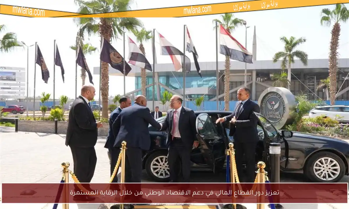 تعزيز دور القطاع المالي في دعم الاقتصاد الوطني من خلال الرقابة المستمرة