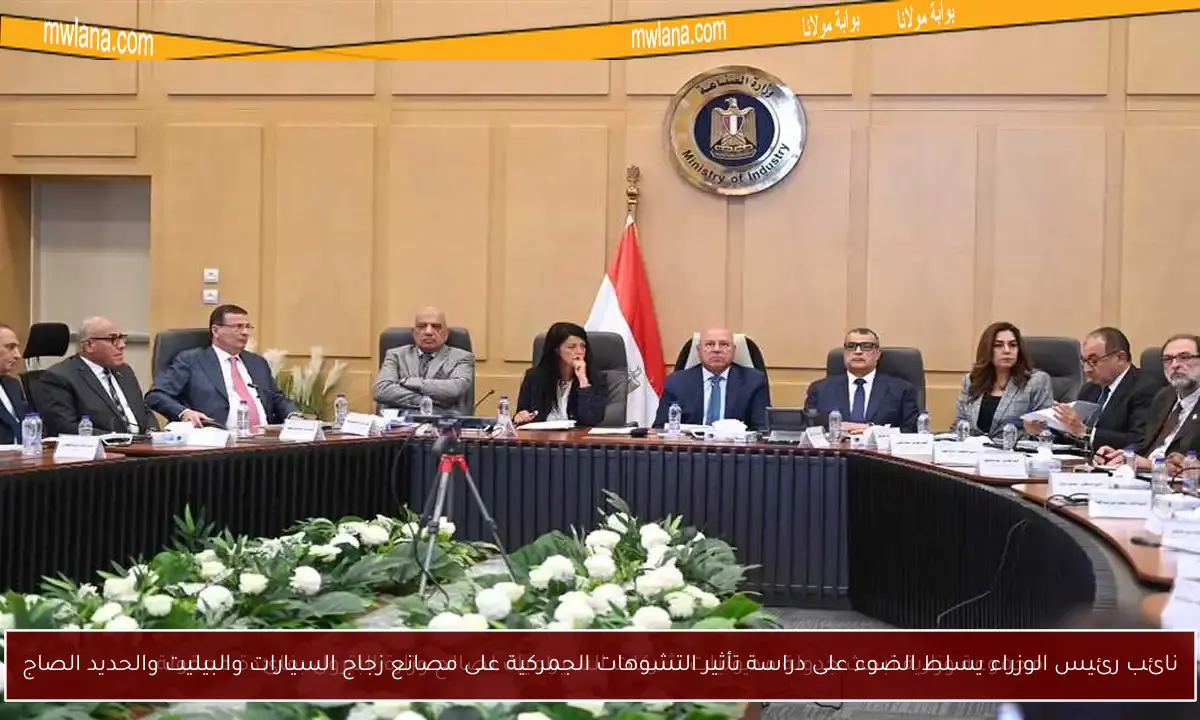 نائب رئيس الوزراء يسلط الضوء على دراسة تأثير التشوهات الجمركية على مصانع زجاج السيارات والبيليت والحديد الصاج